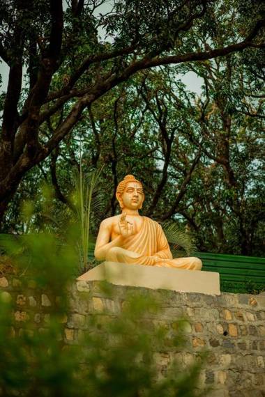 Sterling Palm Bliss - Rishikesh