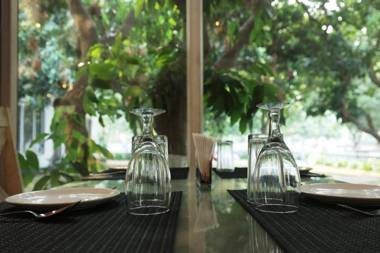 The Woods : An Orchard Retreat