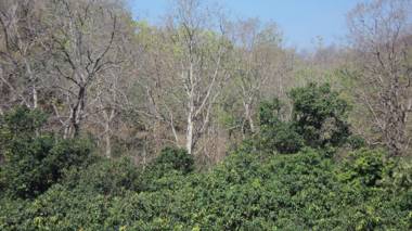 Corbett Comfort Lodge