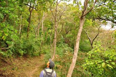 Camp Hornbill Corbett