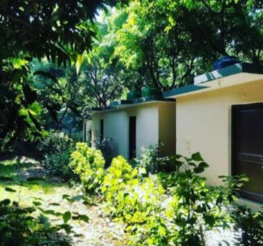 Shekhar Corbett Safari Camp  Near Kosi River Sitabani Dhikala Bijrani & Garjiya Jeep Safari zone of Jim Corbett Park Dhikuli Ramnagar Nainital Uttarakhand