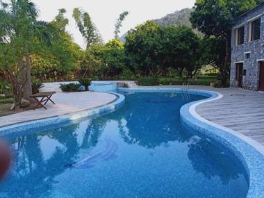 Dewdrop Mango Bloom Resort