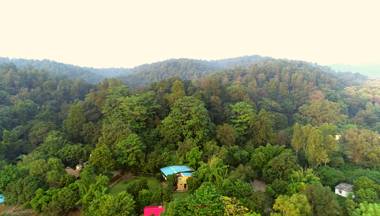 Tejomaya Jungle Retreat