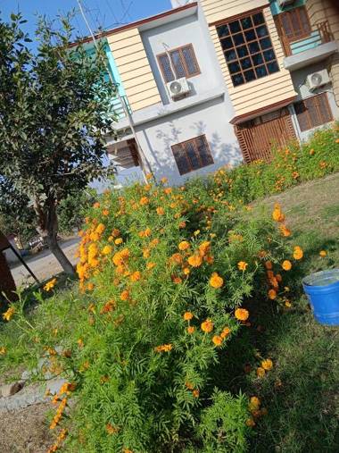 Corbett Rejoice Home Stay