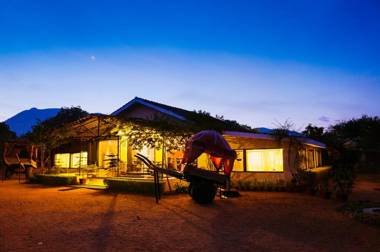 Clarks Safari Pushkar