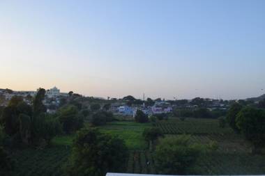 the natural view pushkar