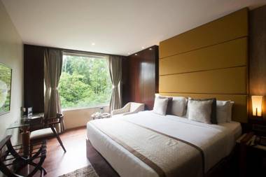 Sea Shell Coral Cove