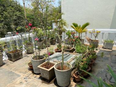 White Villa Guest House Pondicherry