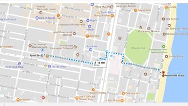 The Wildflowers of Walden