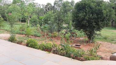 Lotus Garden Guest House