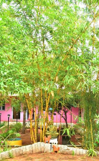 The Well Beach side guest house