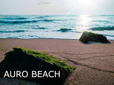 Individual 4BHK with Pool