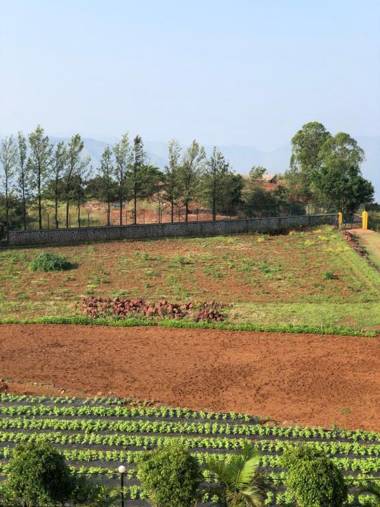 Hotel Valley Exotica