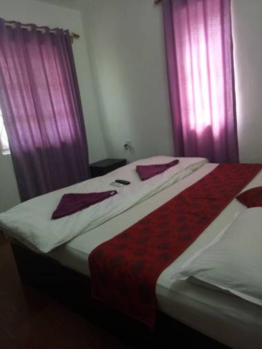 Sugar Plum Macedo Palms