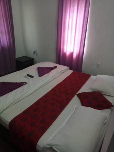 Sugar Plum Macedo Palms