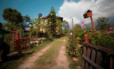 Seclude Palampur