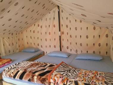 Monkey Mud Cafe and Camps