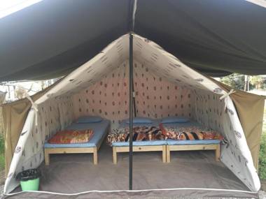 Monkey Mud Cafe and Camps