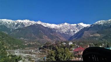 Little Mastiff Silver Oaks