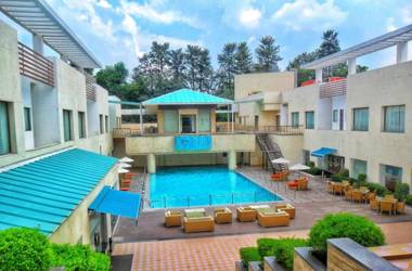 The Ocean Pearl Gardenia