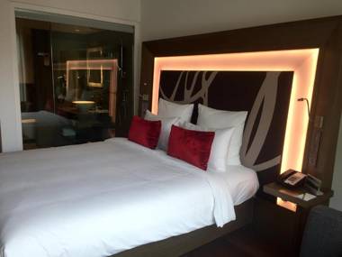 Novotel New Delhi Aerocity- International Airport