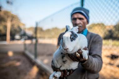 Karma Chalets Gurgaon