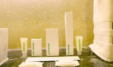 Treebo Trend C T International