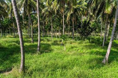 StayVista at Davey's Townhouse