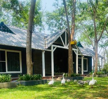 1000 SILVERS -Farmhouse Stay
