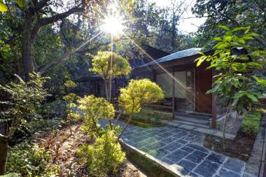 The Punarnava Luxury Health & Wellness Resort