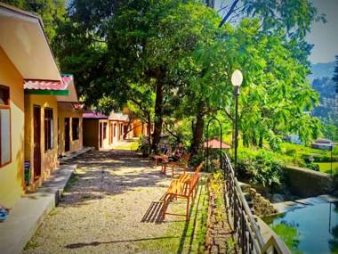 Hostel Trees of Heaven