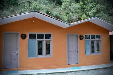 Hostel Trees of Heaven