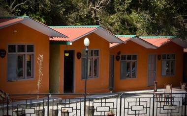 Hostel Trees of Heaven