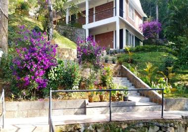 Falling Waters Munnar