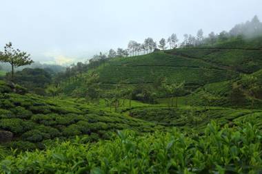 Fort Munnar