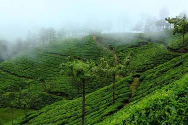 Fort Munnar