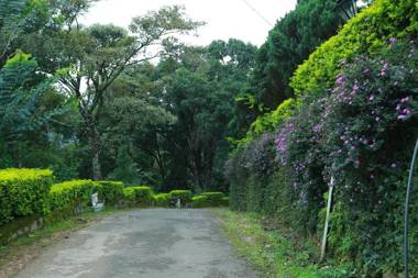Deshadan Mountain Resort -The highest resort in Munnar