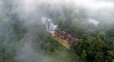 Eterno Camellia and Elettaria