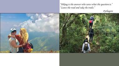 Mistletoe Homestay & Cafe