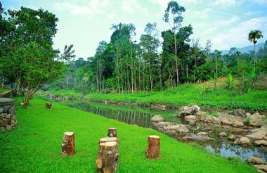 Cottage Avondale Munnar