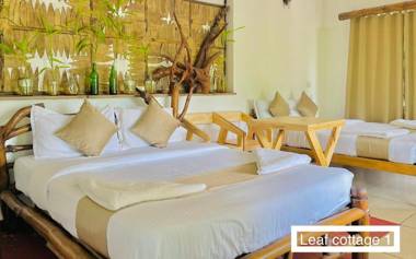 Wild Elephant Resort