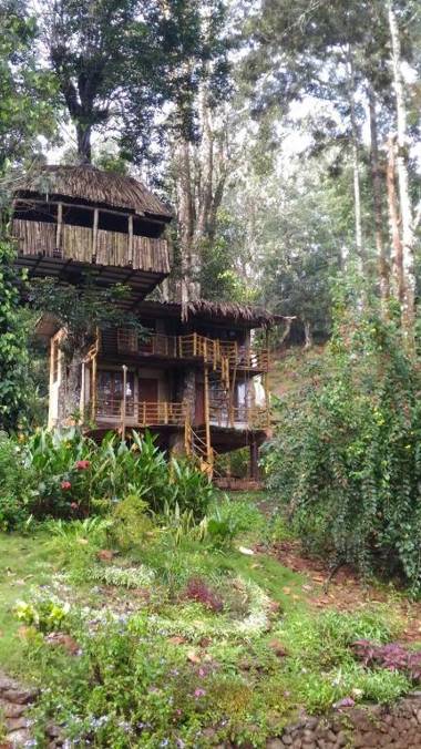 White Tea Estate House