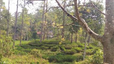 White Tea Estate House