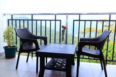 Palmtree Leaf Munnar