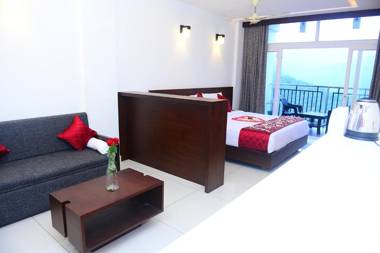 Palmtree Leaf Munnar