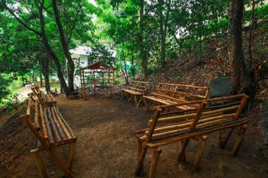 Golden Fern by platina