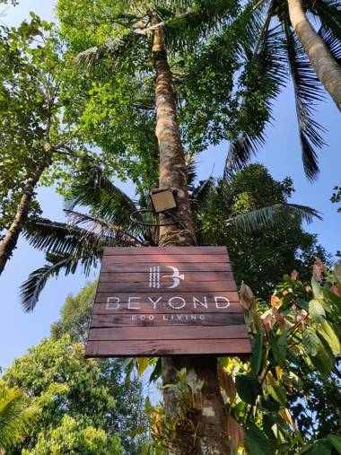 Beyond Eco Living
