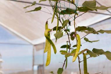 Pleasant Hill Resort