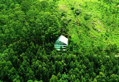 La Flora SpicewoodMunnar