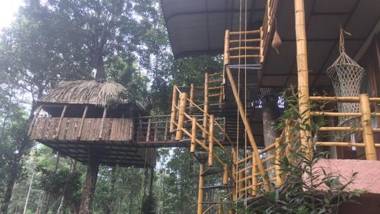 Tree Top Jungle Jive